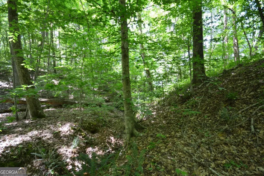 5960 Georgia Highway 120 Buchanan, GA 30113