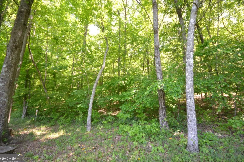 5960 Georgia Highway 120 Buchanan, GA 30113