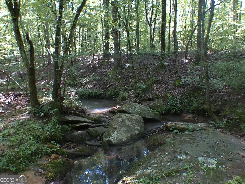 0 Mt Tabor RD Oxford, GA 30054