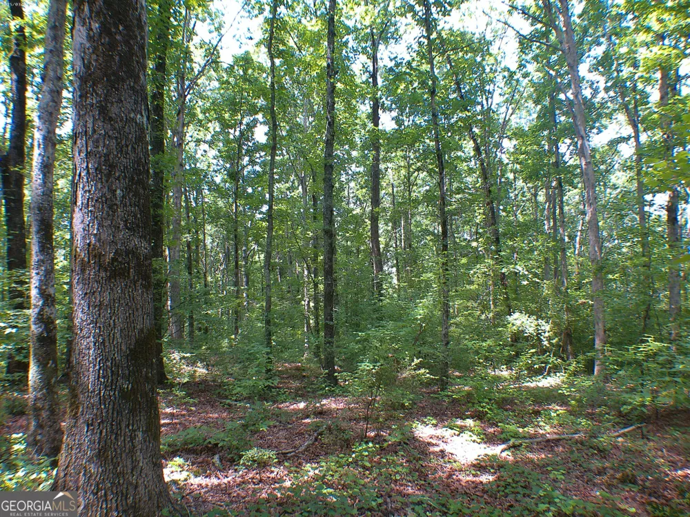 0 Mt Tabor RD Oxford, GA 30054