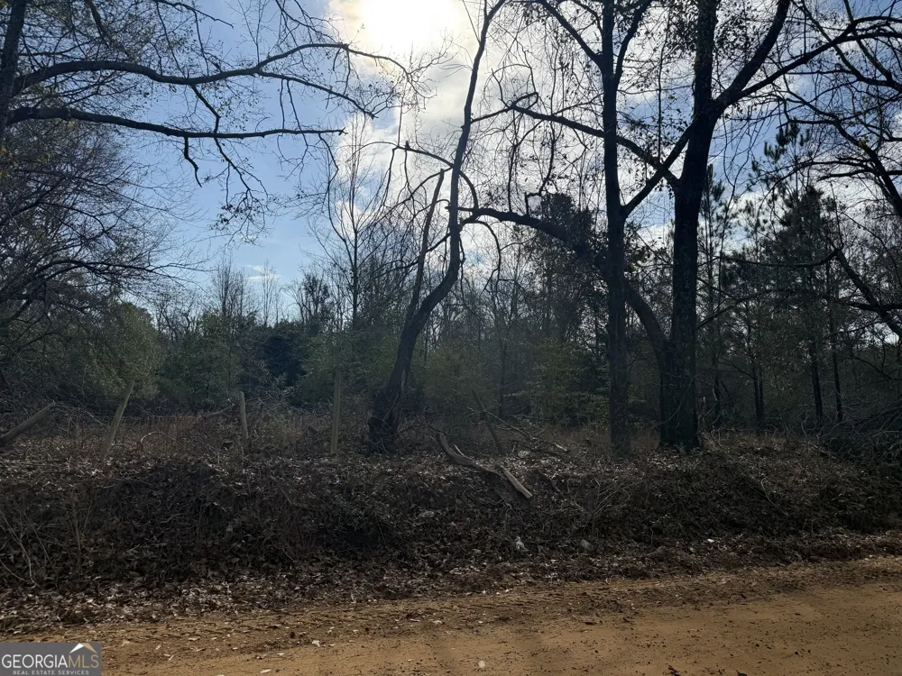 0 George Moore RD Statesboro, GA 30461
