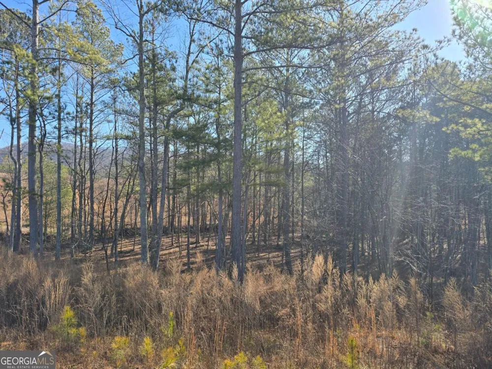 0 Highgrove DR Talking Rock, GA 30175