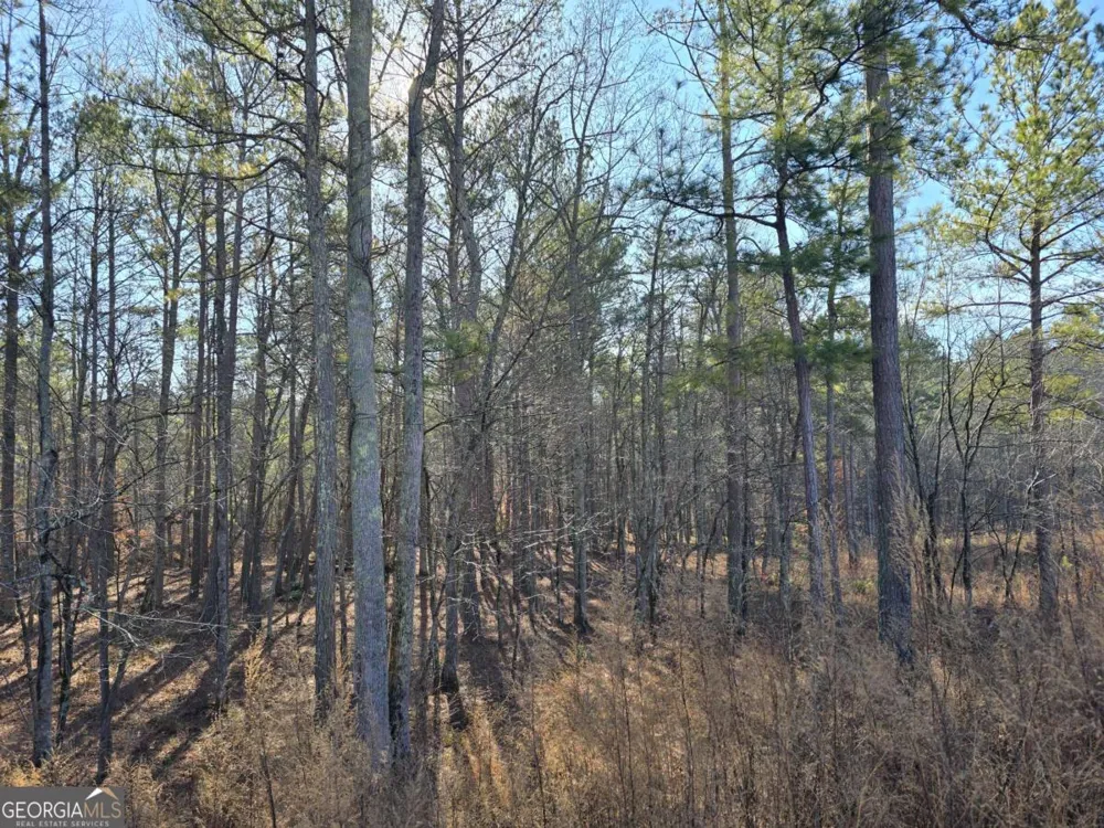 0 Highgrove DR Talking Rock, GA 30175