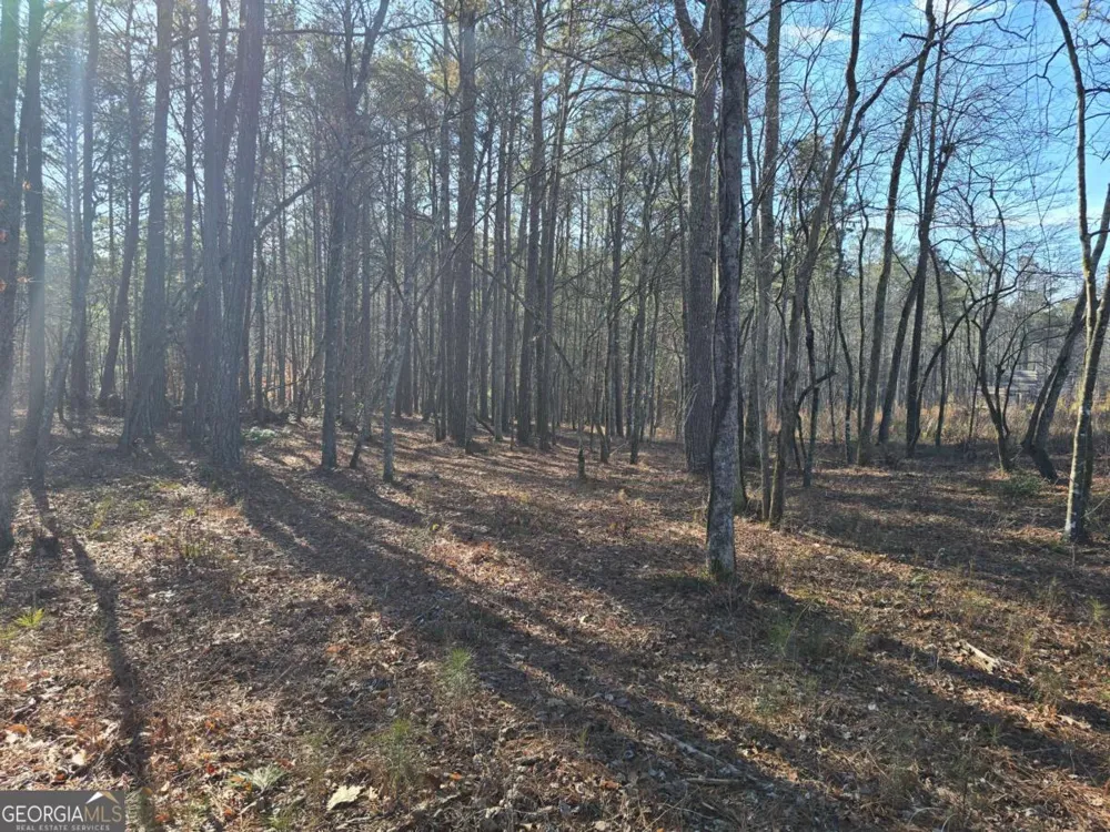 0 Highgrove DR Talking Rock, GA 30175