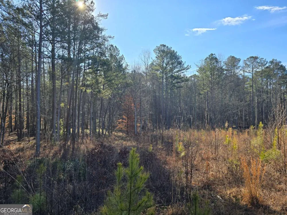 0 Highgrove DR Talking Rock, GA 30175