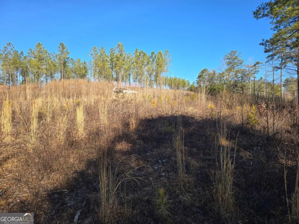 0 Highgrove DR Talking Rock, GA 30175