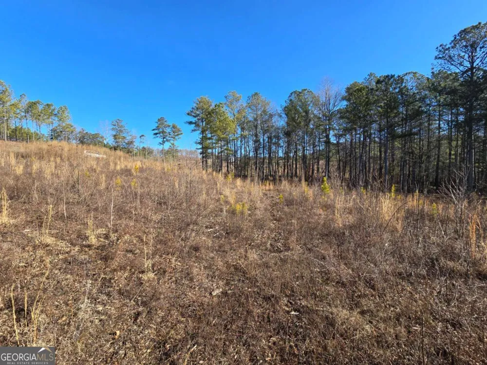 0 Highgrove DR Talking Rock, GA 30175