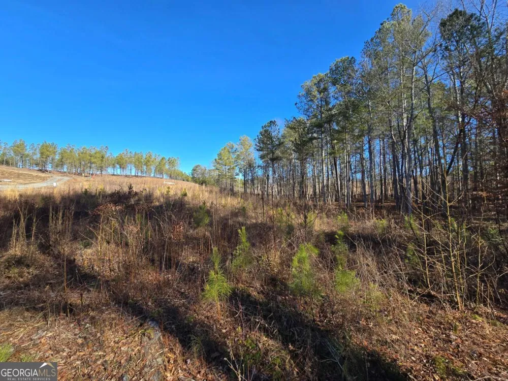 0 Highgrove DR Talking Rock, GA 30175