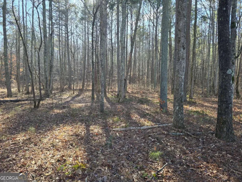 0 Highgrove DR Talking Rock, GA 30175