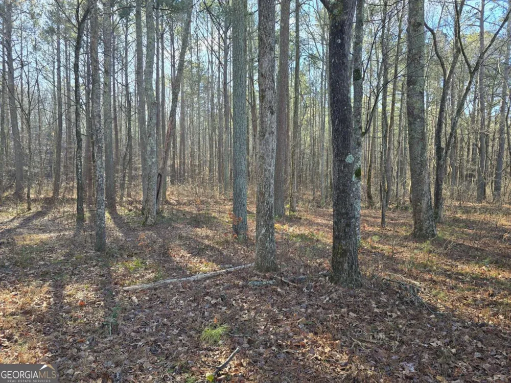 0 Highgrove DR Talking Rock, GA 30175