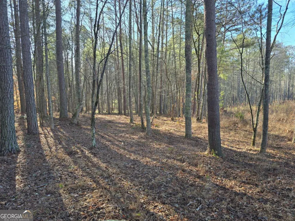 0 Highgrove DR Talking Rock, GA 30175