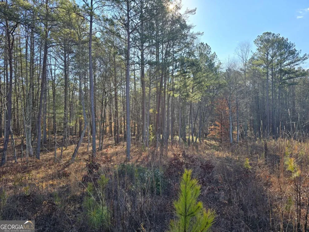 0 Highgrove DR Talking Rock, GA 30175