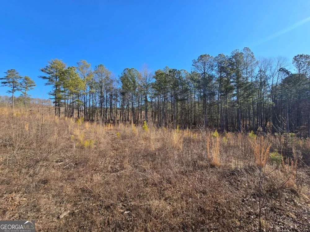 0 Highgrove DR Talking Rock, GA 30175
