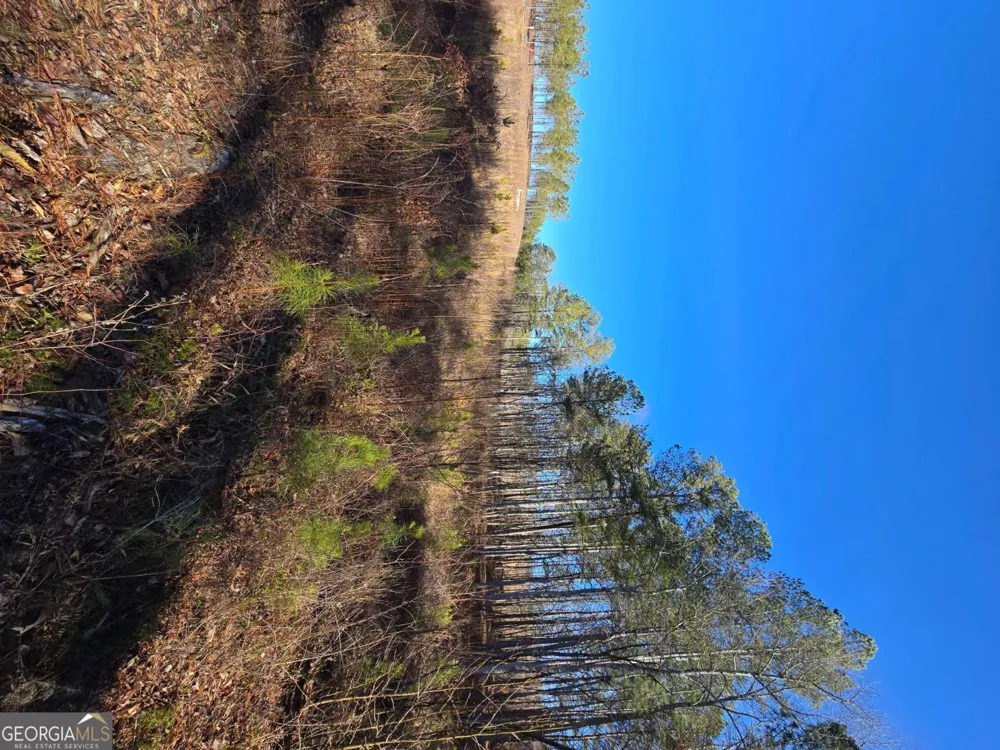 0 Highgrove DR Talking Rock, GA 30175