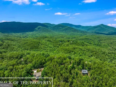 15D Woodbrier