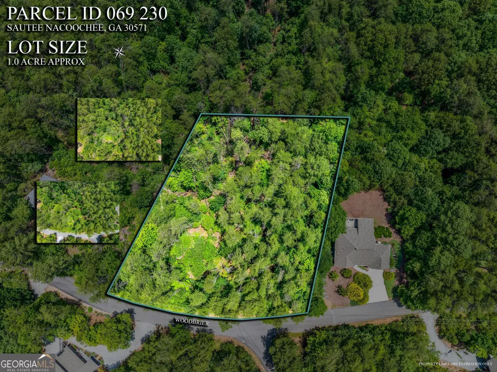 15D Woodbrier Sautee Nacoochee, GA 30571