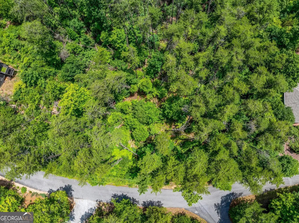 15D Woodbrier Sautee Nacoochee, GA 30571