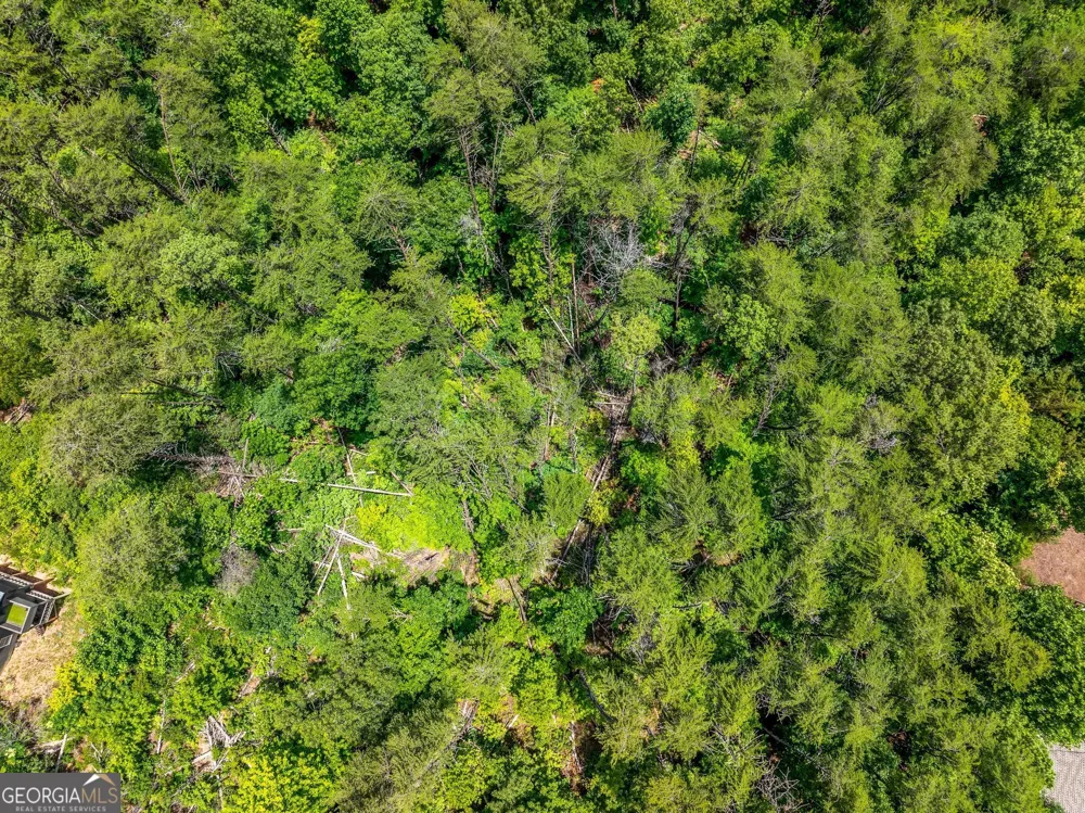 15D Woodbrier Sautee Nacoochee, GA 30571
