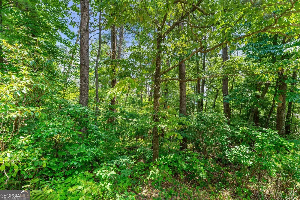15D Woodbrier Sautee Nacoochee, GA 30571