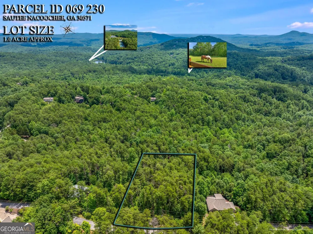 15D Woodbrier Sautee Nacoochee, GA 30571