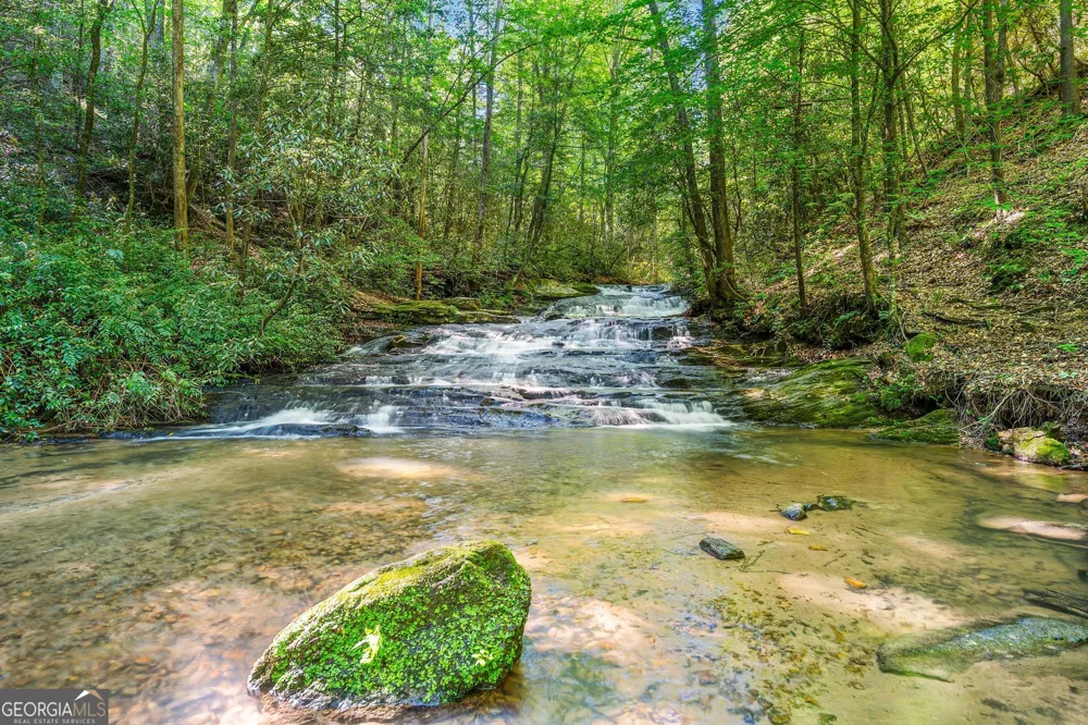 15D Woodbrier Sautee Nacoochee, GA 30571