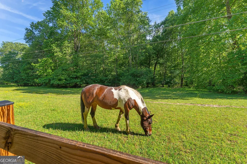 15D Woodbrier Sautee Nacoochee, GA 30571