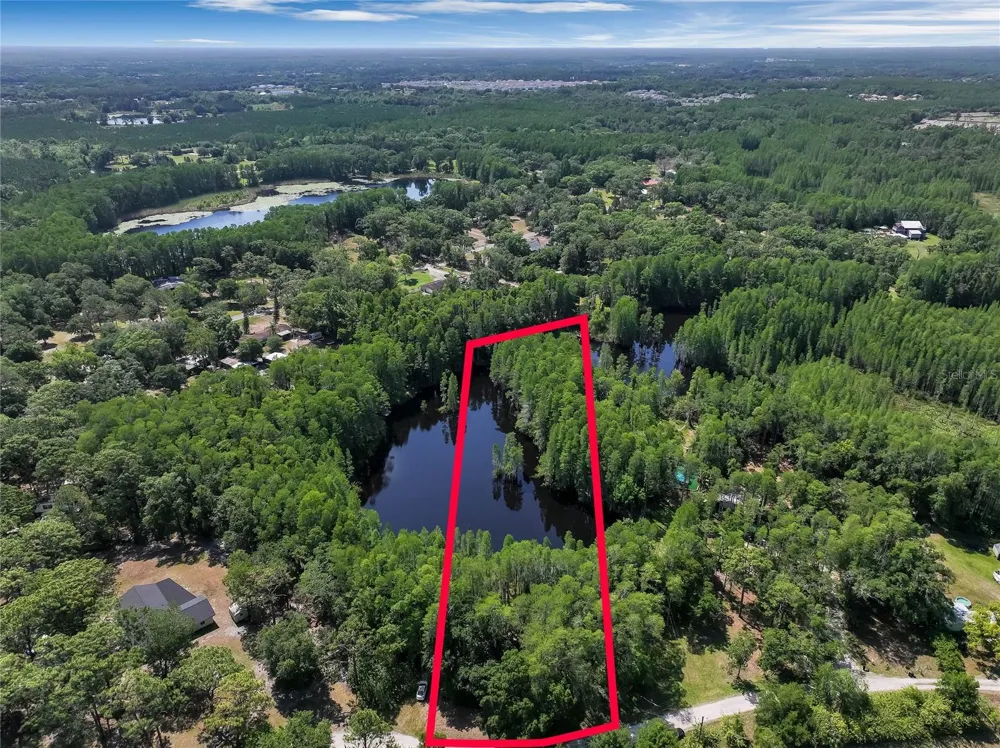 19832 WESTWOOD LANE Land O Lakes, FL 34638