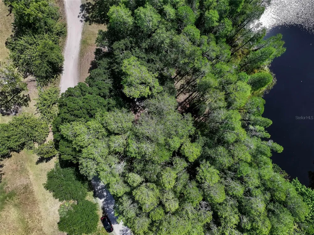 19832 WESTWOOD LANE Land O Lakes, FL 34638