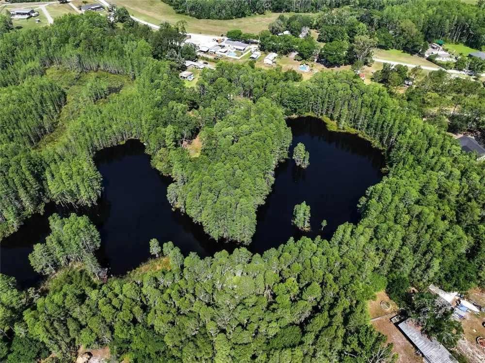 19832 WESTWOOD LANE Land O Lakes, FL 34638