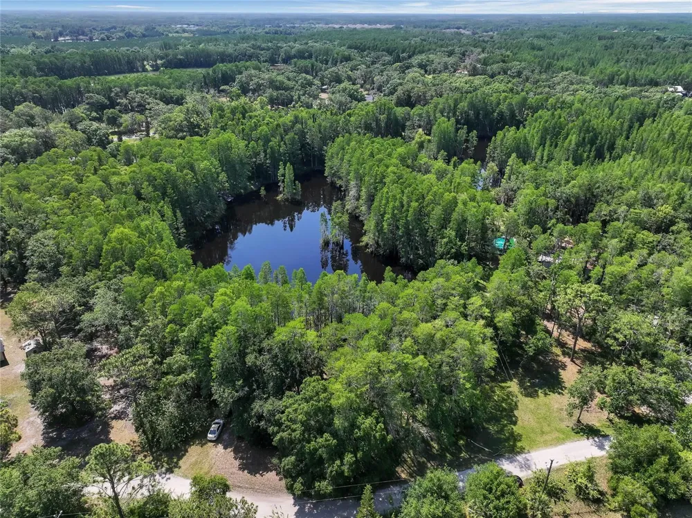 19832 WESTWOOD LANE Land O Lakes, FL 34638