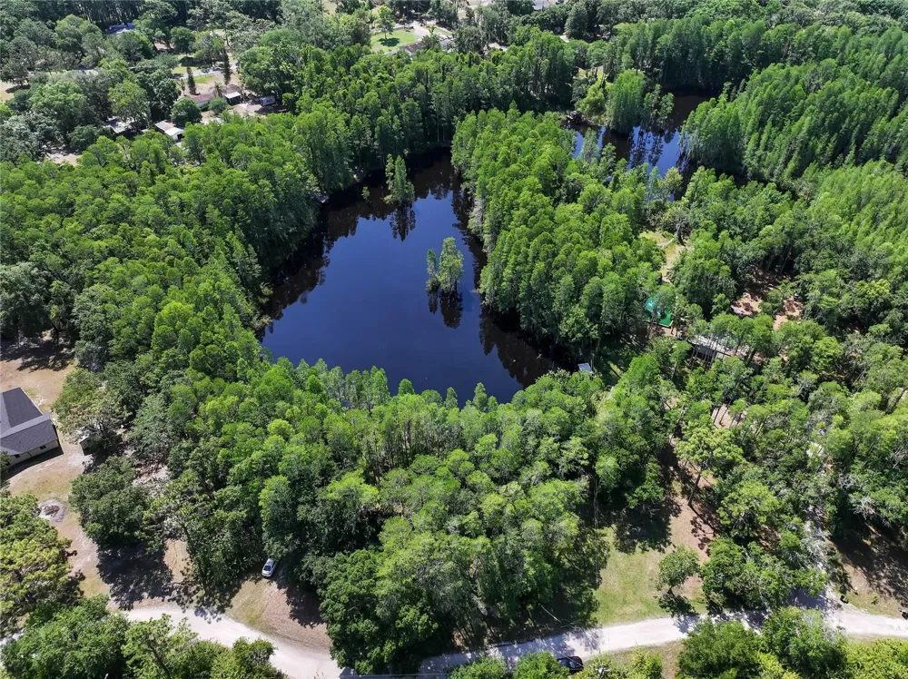 19832 WESTWOOD LANE Land O Lakes, FL 34638
