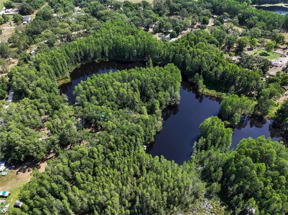 19832 WESTWOOD LANE Land O Lakes, FL 34638