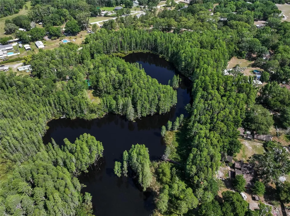 19832 WESTWOOD LANE Land O Lakes, FL 34638