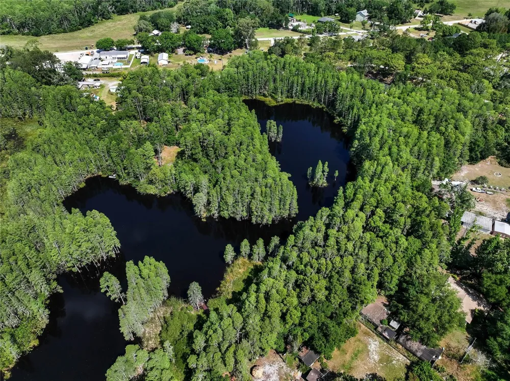 19832 WESTWOOD LANE Land O Lakes, FL 34638
