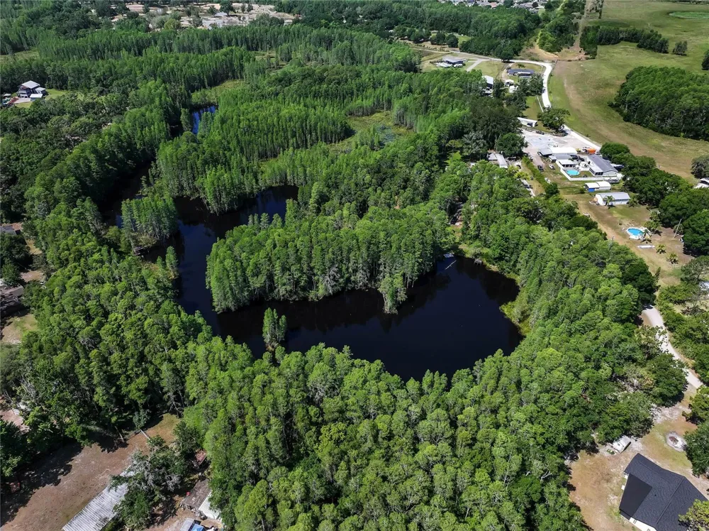 19832 WESTWOOD LANE Land O Lakes, FL 34638