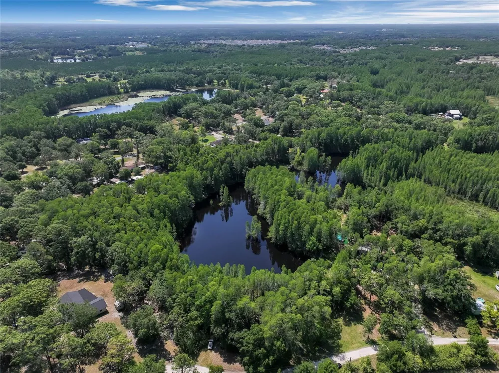 19832 WESTWOOD LANE Land O Lakes, FL 34638
