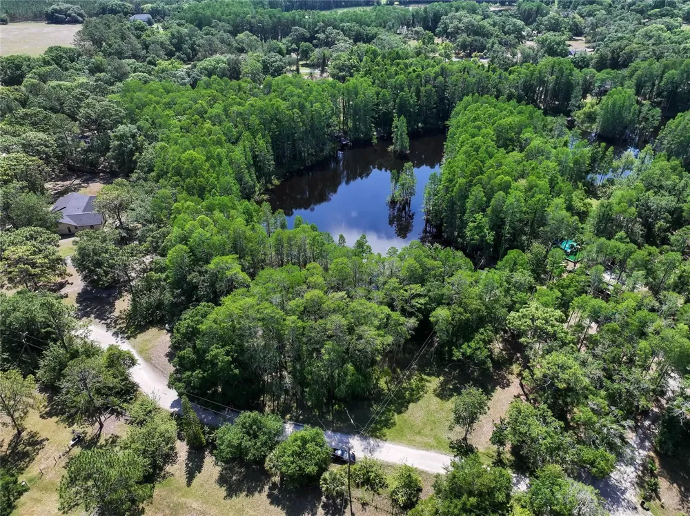 19832 WESTWOOD LANE Land O Lakes, FL 34638