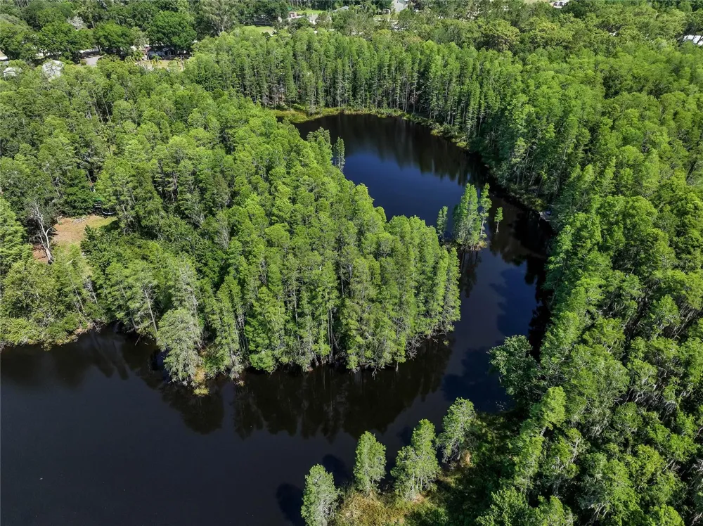 19832 WESTWOOD LANE Land O Lakes, FL 34638