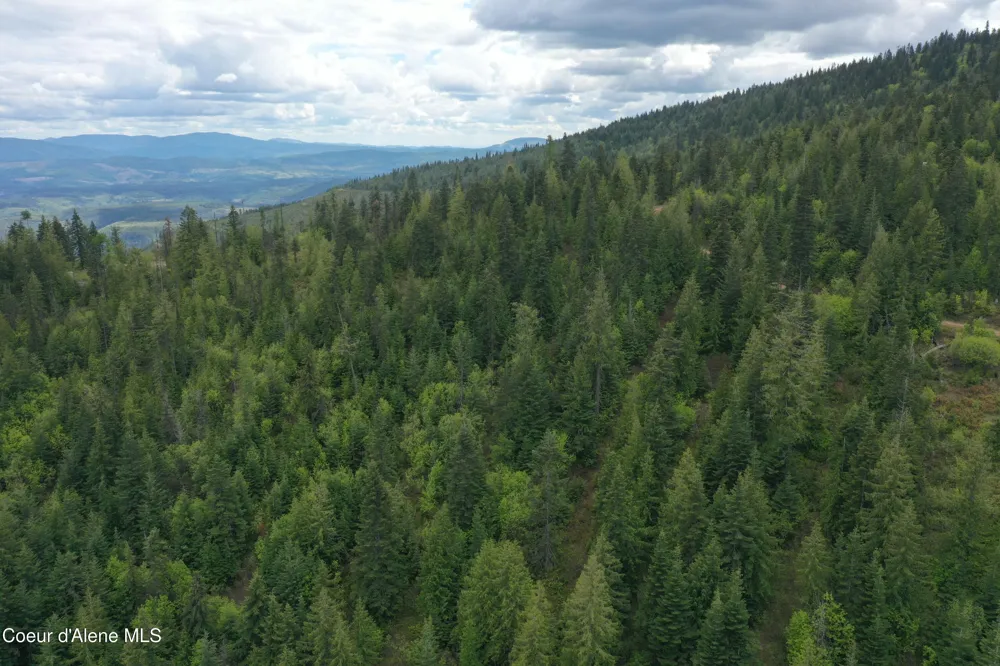 193 Wildflower St. Maries, ID 83861