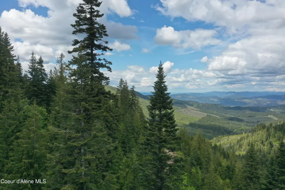 193 Wildflower St. Maries, ID 83861