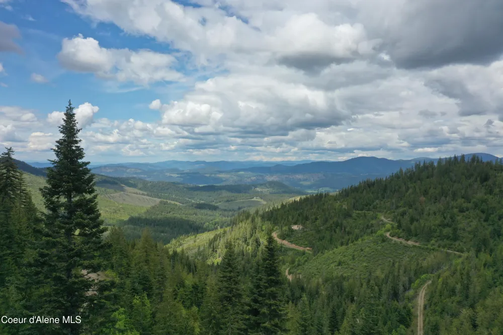 193 Wildflower St. Maries, ID 83861