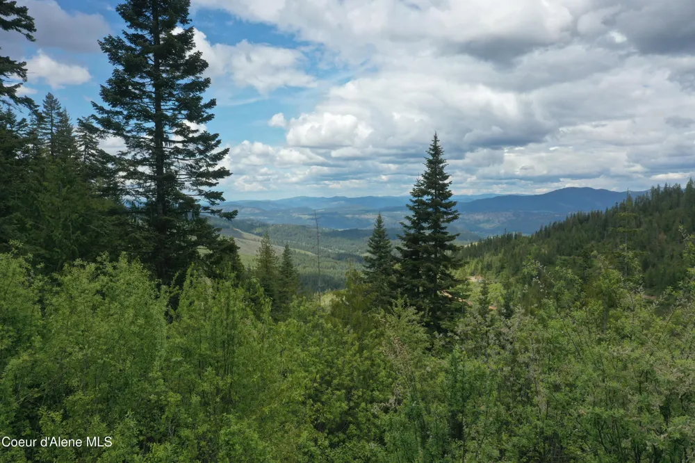 193 Wildflower St. Maries, ID 83861