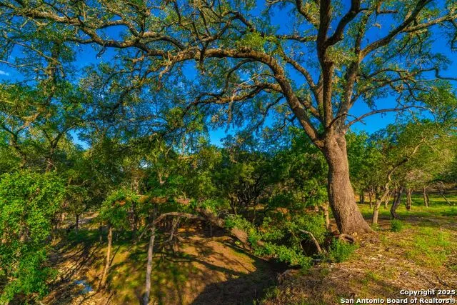 116 Majestic Oaks Drive Boerne, TX 78006
