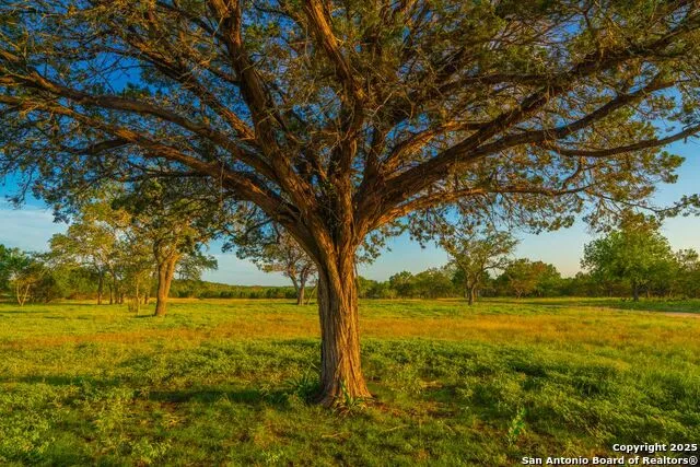 116 Majestic Oaks Drive Boerne, TX 78006