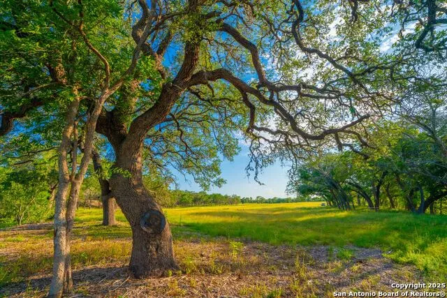 116 Majestic Oaks Drive Boerne, TX 78006