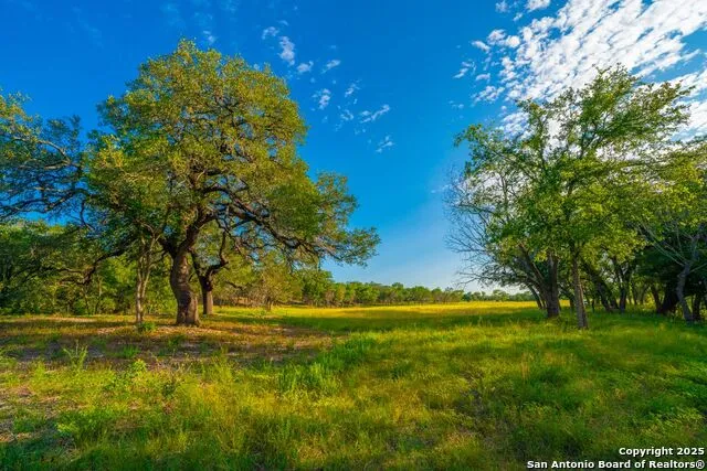 116 Majestic Oaks Drive Boerne, TX 78006