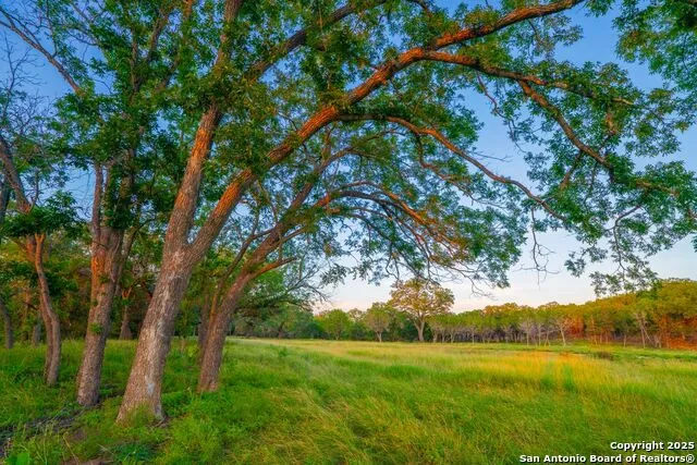 116 Majestic Oaks Drive Boerne, TX 78006