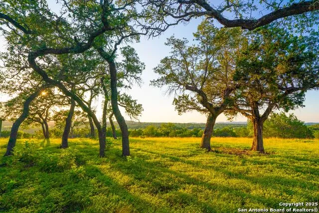 116 Majestic Oaks Drive Boerne, TX 78006