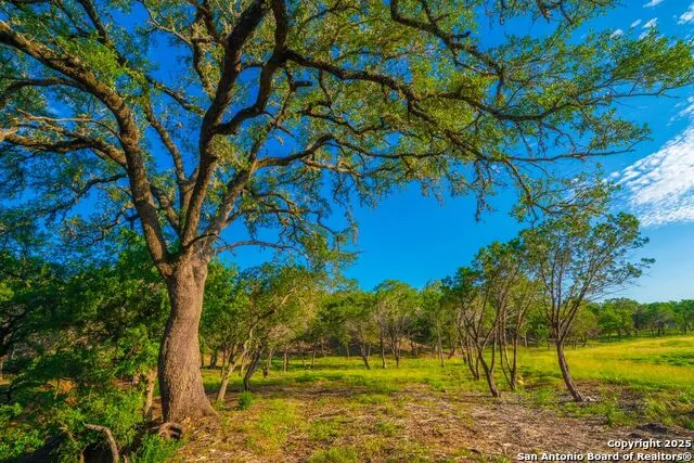 116 Majestic Oaks Drive Boerne, TX 78006