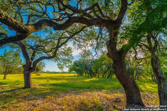 116 Majestic Oaks Drive Boerne, TX 78006